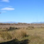 privat:-el-govern-aprova-l’expropiacio-de-l’estany-de-vilaut-als-aiguamolls-de-l’emporda-per-garantir-ne-la-conservacio