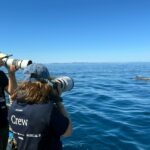 privat:-un-estudi-constata-una-convivencia-estable-i-no-perjudicial-entre-pescadors-i-dofins-mulars-al-cap-de-creus