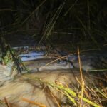 privat:-els-bombers-troben-el-vehicle-que-aquest-mati-hauria-arrossegat-la-riera-a-palau-sator