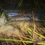 privat:-localitzen-el-cos-d’un-home-a-l’interior-del-cotxe-que-ha-arrossegat-la-riera-a-palau-sator