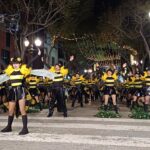 privat:-carnaval-de-sant-feliu-de-guixols-2026-–-inscripcions-rues-i-actes