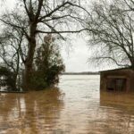 Albert Grassot: “El que ens ha sobtat és la força i la intensitat amb què ens arriba l’aigua” privat:-inundacions-i-danys-als-arrossars-de-pals:-“ha-estat-un-desastre-total”