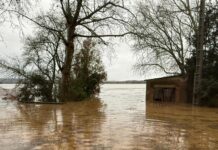 Albert Grassot: “El que ens ha sobtat és la força i la intensitat amb què ens arriba l’aigua” privat:-inundacions-i-danys-als-arrossars-de-pals:-“ha-estat-un-desastre-total”