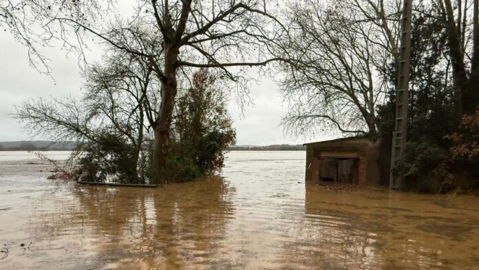 privat:-inundacions-i-danys-als-arrossars-de-pals:-“ha-estat-un-desastre-total”