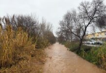 Protecció Civil dona per acabat l’episodi de pluges però manté l’alerta per l’alt cabal dels rius privat:-els-projectes-executats-a-palamos-destinats-a-la-millora-de-la-canalitzacio-d’aigues-plujanes,-minimitzen-els-efectes-dels-200-mm-registrats-ahir-al-municipi