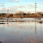 privat:-els-pagesos-del-baix-ter-lamenten-que-“cada-vegada”-que-hi-ha-un-temporal-acaben-amb-els-camps-negats
