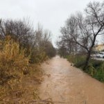privat:-els-projectes-executats-a-palamos-destinats-a-la-millora-de-la-canalitzacio-d’aigues-plujanes-minimitzen-els-efectes-dels-200-mm-registrats-ahir-al-municipi