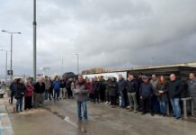 Palamós dona suport al sector pesquer davant les noves exigències europees sobre la comunicació de captures privat:-palamos-dona-suport-al-sector-pesquer-davant-la-implantacio-de-noves-mesures-de-comunicacio-dels-quilos-de-pesca-dictades-per-la-comissio-europea