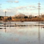 privat:-unio-de-pagesos-exigeix-al-govern-que-millori-el-manteniment-de-les-rieres-del-baix-emporda-per-combatre-les-inundacions