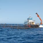privat:-la-universitat-de-girona-participa-en-un-projecte-internacional-per-impulsar-la-pesca-sostenible-al-mediterrani