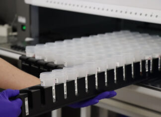 El nou cribratge de càncer de coll uterí detecta el virus del papil·loma humà a 3.691 dones de les comarques gironines