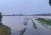 La JARC denuncia la mala gestió dels rius feta per l’ACA després dels desbordaments pel temporal Harry camps pages temporal harry protesta jarc