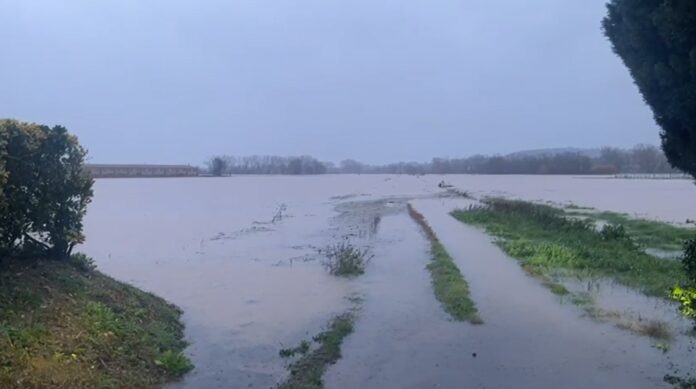 camps pages temporal harry protesta jarc camps pages temporal harry protesta jarc