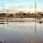 Unió de Pagesos exigeix al Govern que millori el manteniment de les rieres del Baix Empordà per combatre les inundacions