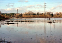 Unió de Pagesos exigeix al Govern que millori el manteniment de les rieres del Baix Empordà per combatre les inundacions