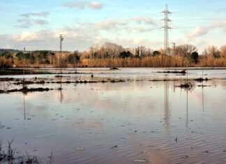 Unió de Pagesos exigeix al Govern que millori el manteniment de les rieres del Baix Empordà per combatre les inundacions