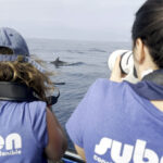 ed002e02-e4a7-452c-bb7c-e85e1fda4953