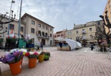 David Catà: “Som pocs però hi som, i volem demostrar la força del comerç local”