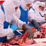 Les exportacions a les comarques gironines tanquen l’any amb un augment del 2,6% i firmen un nou rècord exportacions Girona /ACN