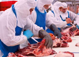 Les exportacions a les comarques gironines tanquen l’any amb un augment del 2,6% i firmen un nou rècord exportacions Girona /ACN