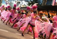 Mar i Muntanya i La Banda del Pati triomfen a la Gran Rua del Carnaval de Platja d’Aro 2026 privat:-guardons-de-la-gran-rua-de-carrosses-i-comparses-de-castell,-platja-d’aro-i-s’agaro-2026