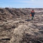 Els Mossos investiguen la troballa d’un peu humà a la Gola del Ter privat:-cremes-controlades-a-la-gola-del-ter-a-les-restes-d’un-volum-“extraordinari”