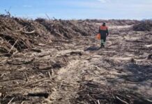 Els Mossos investiguen la troballa d’un peu humà a la Gola del Ter privat:-cremes-controlades-a-la-gola-del-ter-a-les-restes-d’un-volum-“extraordinari”