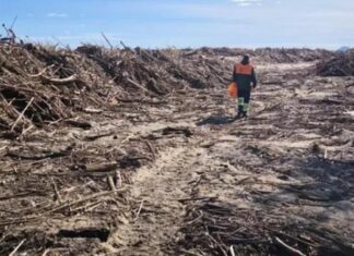 Els Mossos investiguen la troballa d’un peu humà a la Gola del Ter privat:-cremes-controlades-a-la-gola-del-ter-a-les-restes-d’un-volum-“extraordinari”
