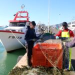 privat:-brusselles-diu-que-resoldra-les-queixes-dels-pescadors-per-les-noves-regles-per-certificar-digitalment-les-captures