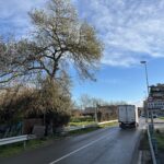 La Bisbal renova el conveni de col·laboració amb el Servei Català de Trànsit per millorar la seguretat viària La Bisbal