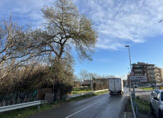 La Bisbal renova el conveni de col·laboració amb el Servei Català de Trànsit per millorar la seguretat viària La Bisbal