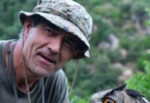 Jaume Ramot: “Hi ha una quantitat d’atropellaments d’animals insostenible”