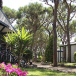 Els càmpings gironins lideren en estades llargues i aposten per un turisme més sostenible