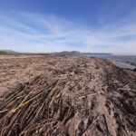 Torroella torna a demanar suport per netejar les platges de les restes acumulades del Ter Torroella neteja platges
