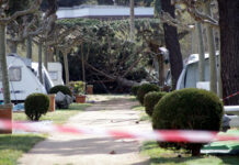 Ferit lleu un home per la caiguda d’un arbre en un càmping de Platja d’Aro
