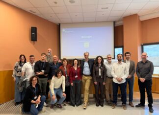 El SSIBE impulsa la innovació sanitària amb una jornada per mostrar projectes i reptes de futur