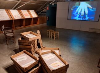 El Museu de la Pesca de Palamós inaugura l’exposició “Pell” de l’artista Rosa Aguiló privat:-el-museu-de-la-pesca-acull-l’exposicio-temporal-“pell”,-de-l’artista-palafrugellenca-rosa-aguilo