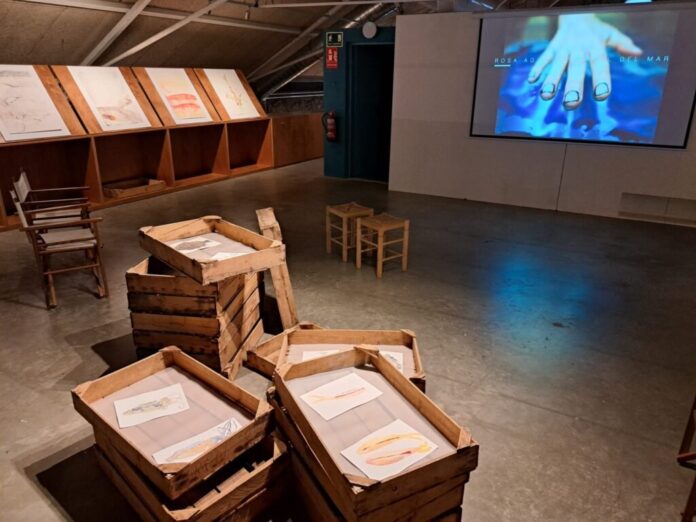 privat:-el-museu-de-la-pesca-acull-l’exposicio-temporal-“pell”,-de-l’artista-palafrugellenca-rosa-aguilo