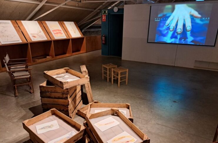 El Museu de la Pesca de Palamós inaugura l’exposició “Pell” de l’artista Rosa Aguiló privat:-el-museu-de-la-pesca-acull-l’exposicio-temporal-“pell”,-de-l’artista-palafrugellenca-rosa-aguilo