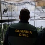 privat:-a-preso-quatre-detinguts-que-tenien-un-cultiu-amb-1.017-plantes-de-marihuana-a-sant-pere-pescador