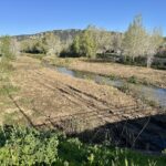 privat:-inversio-de-115.000-euros-en-la-neteja-del-tram-final-del-ridaura,-entre-la-desembocadura-i-la-carretera-gi-666