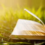 privat:-crida-a-les-autores-i-autors-locals