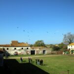 privat:-alliberen-una-vintena-d’ibis-ermitans-als-aiguamolls-de-l’emporda-amb-l’objectiu-de-recuperar-l’especie-a-catalunya