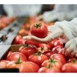 privat:-el-sector-agroalimentari-genera-un-volum-de-negoci-de-58.000-milions-d’euros-i-representa-el-18%-del-pib-catala