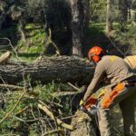 privat:-alcaldes-i-gestors-forestals-de-les-gavarres-alerten-que-el-mal-estat-dels-accessos-pot-impedir-el-pas-als-bombers