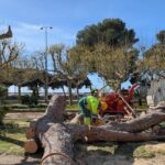 Els Bombers atenen una setantena d’avisos pel vent sobretot a les comarques gironines privat:-platja-d’aro-i-sant-feliu-de-guixols-retiren-arbres-i-elements-caiguts-pel-vent