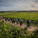 El Vívid arrenca amb el 70% de les entrades venudes i alta demanda d’activitats a la Costa Brava