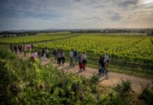 El Vívid arrenca amb el 70% de les entrades venudes i alta demanda d’activitats a la Costa Brava