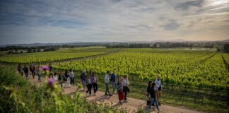 El Vívid arrenca amb el 70% de les entrades venudes i alta demanda d’activitats a la Costa Brava