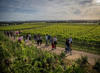 El Vívid arrenca amb el 70% de les entrades venudes i alta demanda d’activitats a la Costa Brava